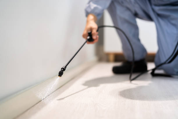 Certified termite inspector examining foundation in Eden Isle